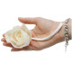 12x Natural Diffuser Flowers - Lrg Rose on String