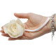 12x Natural Diffuser Flowers - Lrg Lotus on String