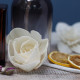 12x Natural Diffuser Flowers - Small Lotus on String