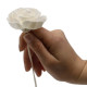 12x Natural Diffuser Flowers - Rose on Reed
