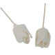 12x Natural Diffuser Flowers - Tulip on Reed