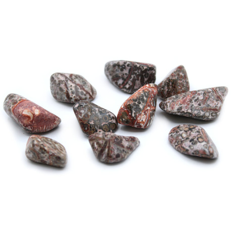 24x L Tumble Stones - Leopard Skin