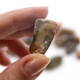 24x M Tumble Stone - Petrified Wood