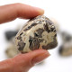 18x XL Tumble Stones - Jasper - Silverleaf