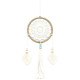 Dream Catcher - Medium Natural Elemental Spirits