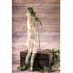 Long Cream Wisteria