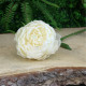 Glamis Single Peony Cream (62cm)