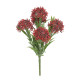 UV Exterior Everlast Skimmia Plant (24cm)