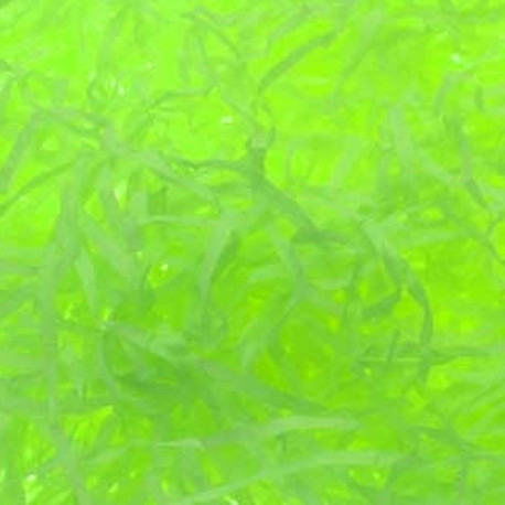 Lime Green Shredded Tissue 25g
