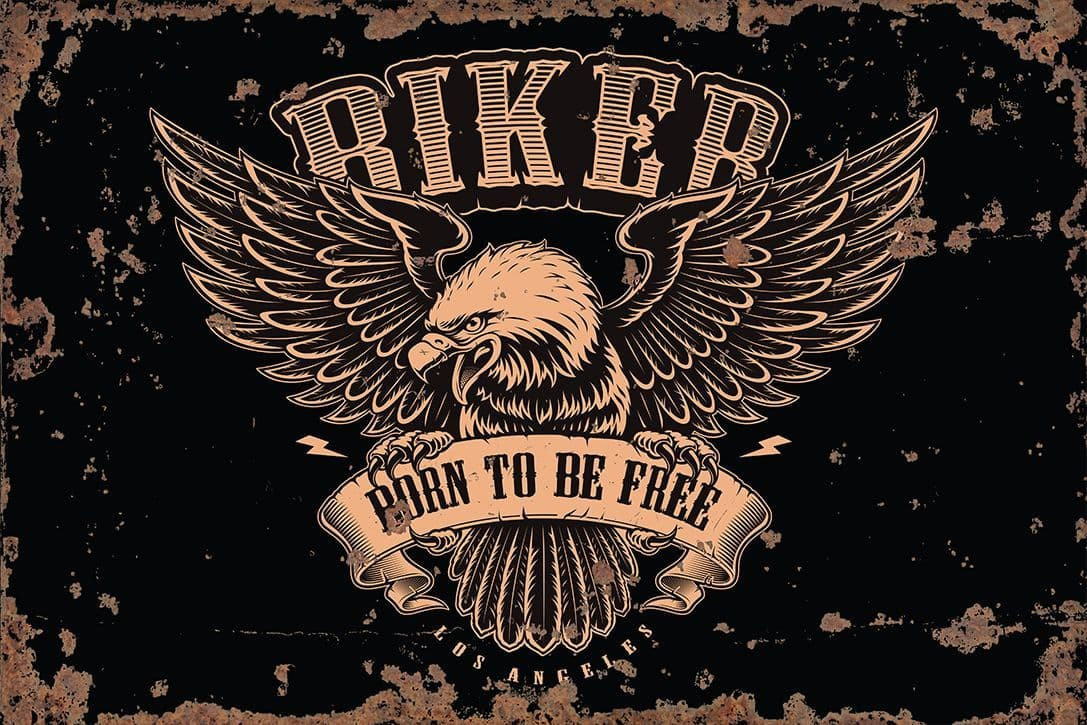 Biker Born To Be Free  Motorbike  - Metal Vintage Wall Sign