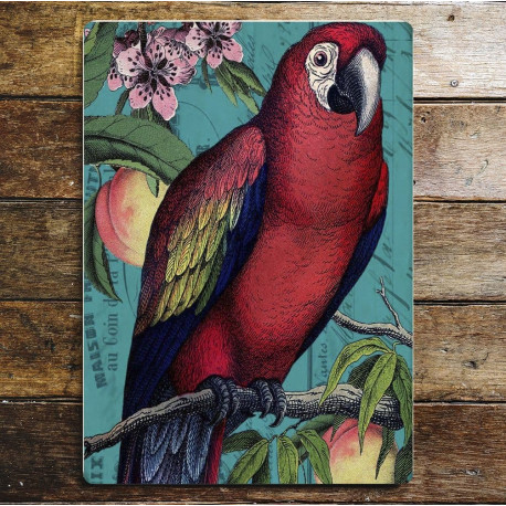 Red Parrot - Metal Humour Wall Sign