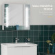 Illuminated Bathroom Mirror Cabinet 650 x 700Hmm LED Bathroom Mirror with Lights Touch Switch, Adjustable Shelf,  USB Charge, Wh
