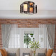 Modern Design Mini Style Flush Mount Ceiling Light Mount with Flush Metal Finish Chandelier for Hallway, Dining Room, Living Roo