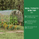 Outsunny Tunnel Tomato Greenhouse with 4 Hoops and Top Tap, Pointed Bottom and Guy Ropes, 400 x 123 x 171 cm, Clear