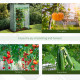 Outsunny Tomato Greenhouse with Roll-up Door, Mini Greenhouse with PE Cover, Outdoor Grow House Small Green House for Yard, Balc
