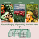 Outsunny Mini Small Greenhouse with Steel Frame &amp; PE Cover &amp; Zipped Window Poly tunnel Steeple for Plants Vegetables, 270 x 90 x