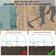 Outsunny 245 x 200cm Polytunnel Greenhouse - Green