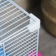 Pawhut 2 Tier Hamster Cage, Gerbil Cage with Handle, Exercise Wheels, Tunnel, Tube, Water Bottle, Dishes, Ladder, for Dwarf, Blu