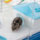 PawHut Hamster Cage, Gerbil Cage 3 Tier for Dwarf Hamster with Tube, Exercise Wheel, Water Bottle, Food Dish 59 x 36 x 47 cm- Bl