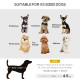 PawHut Dog Sofa for XS and S Size Dogs, Pet Chair Bed with Soft Cushion, Cat Sofa  Couch with Washable Cover, Wooden Frame, 66.5