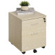 Vinsetto 2-Drawer Locking Office Filing Cabinet w/ 5 Wheels Rolling Storage Hanging Legal Letter Files Cupboard Home Organisatio