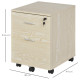 Vinsetto 2-Drawer Locking Office Filing Cabinet w/ 5 Wheels Rolling Storage Hanging Legal Letter Files Cupboard Home Organisatio