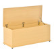 113L Storage Chest, Storage Box with Flip-Top Lid and 2 Safety Hinges, Storage Trunk for Living Room, Entryway, 100 x 40 x 40 cm