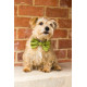 House of Paws Green Tweed Bow Tie