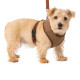 House of Paws - Tweed Memory Foam Dog Harness
