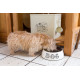 House of Paws - Country Kitchen Dog Bowl