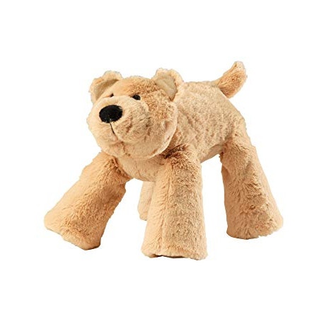 House of Paws - Big Paws Bear