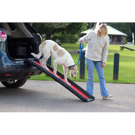 Henry Wag - Lightweight Folding Dog Ramp