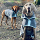 Henry Wag - Microfibre Dog Drying Coat