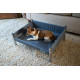 Henry Wag - Elevated Dog Bed