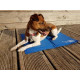 Henry Wag - Dog Cooling Mat