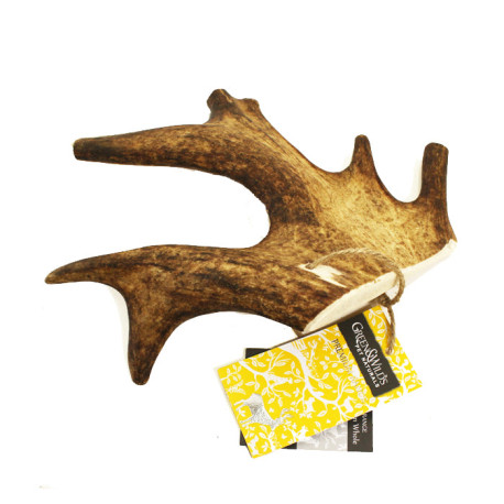 Green & Wilds - Fallow Antler Dog Chew