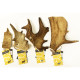 Green &amp; Wilds - Fallow Antler Dog Chew