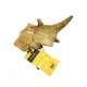 Green &amp; Wilds - Fallow Antler Dog Chew