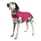 Joules - Raspberry Quilted Dog Coat