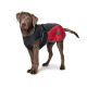 Hunter Uppsala Cozy Dog Coat - Anthracite/Red