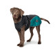 Hunter Uppsala Cozy Dog Coat - Anthracite/Teal
