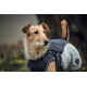 Hunter Uppsala Cozy Dog Coat - Anthracite/Grey