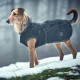 Hunter Uppsala Classic Dog Coat - Black