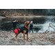 Hunter Uppsala Allrounder Dog Coat - Anthracite/Red