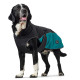 Hunter Uppsala Allrounder Dog Coat - Anthracite/Teal