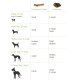 Green &amp; Wilds - ChewRoots Dog Chews