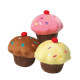 House of Paws - Vanilla Scented Birthday Cupcake Dog Toy