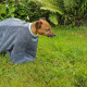 Henry Wag - Microfibre Dog Drying Bag
