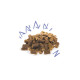 Edgard &amp; Cooper - Good Boy Beef Bites 50g