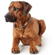 Hunter - Sansibar Rantum Dog Collar - Grey